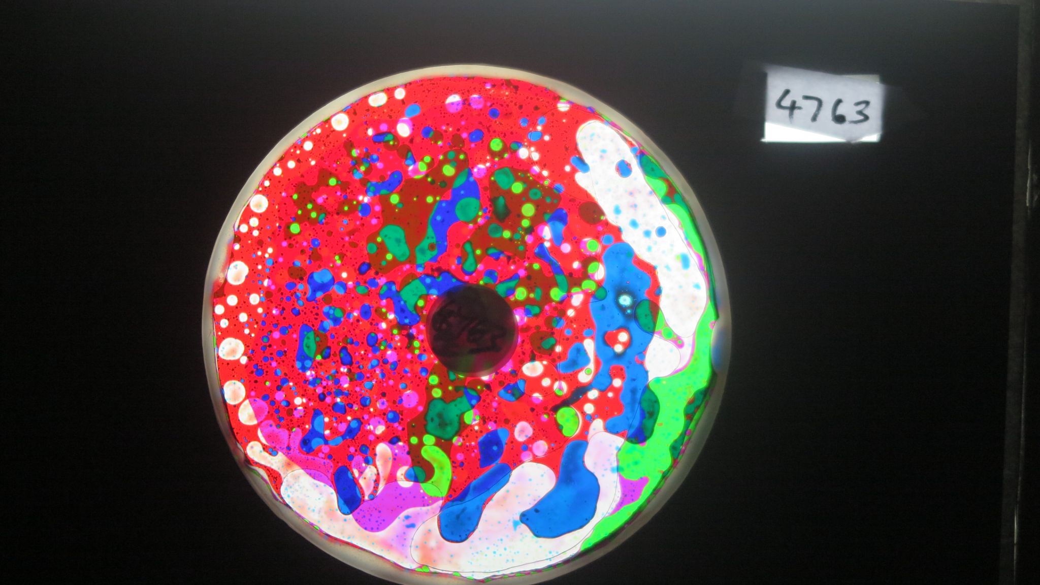 BV4763 bubble vision oil wheel